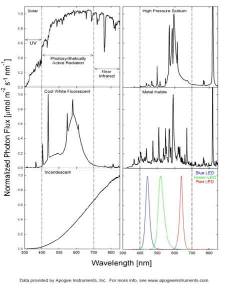 Spectral output of different light sources